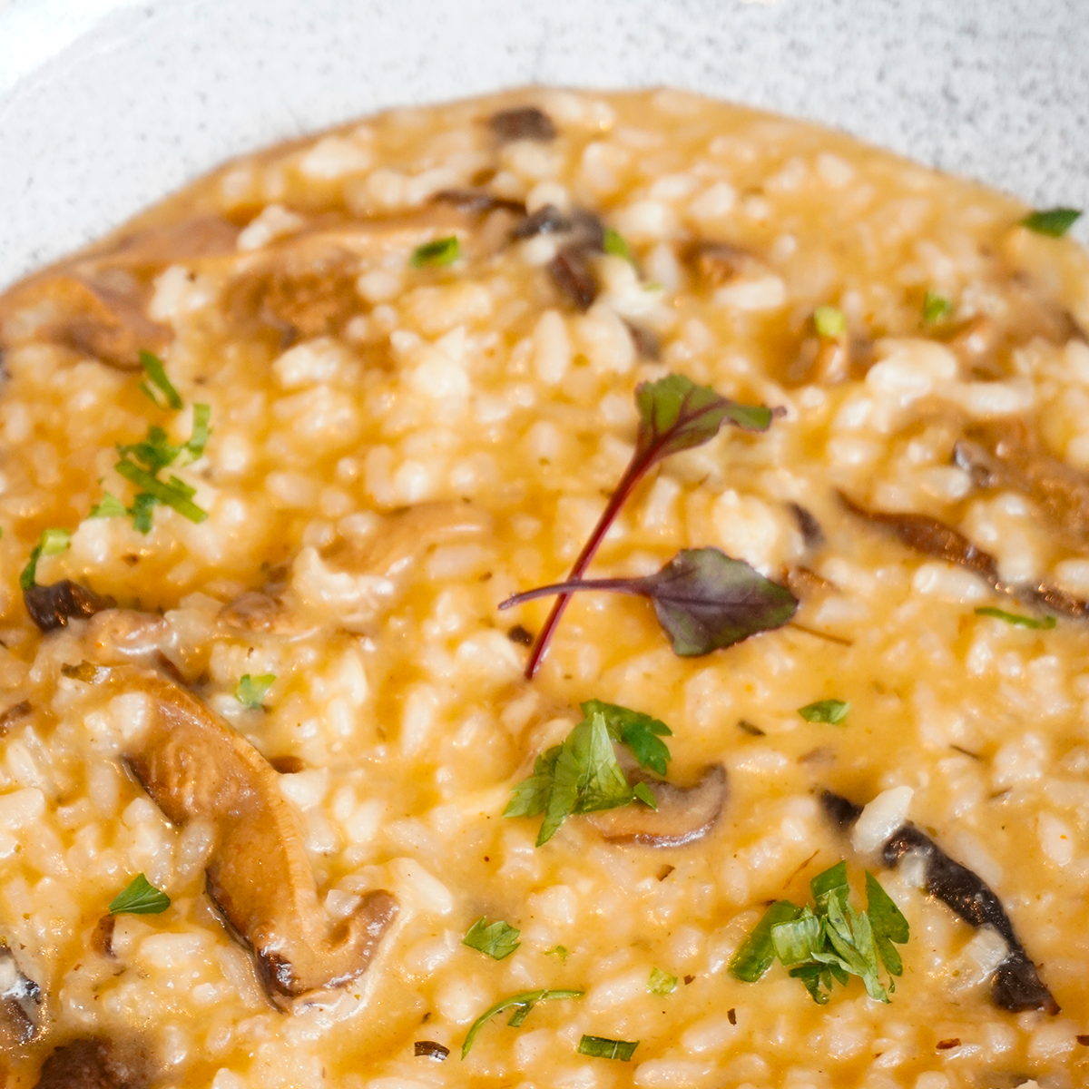 Risoto de cogumelos